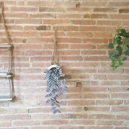 Loft In Barrio De Gracia - Wifi!! Barcelona